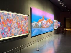 -罗红摄影艺术馆