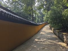 -宝通禅寺