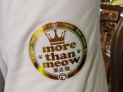 -more than meow吴止猫主题餐厅(承德 中船汇店)
