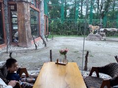 -上海野生动物园老虎餐厅