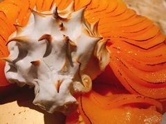 -嘉定凯悦·咖啡厅