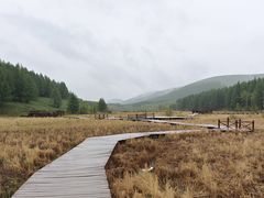 -塞罕坝国家级自然保护区