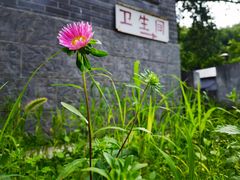 -云岫谷游猎自然风景区