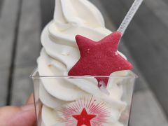 -红星前进面包牛奶公司(五道口购物中心店)