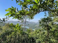 -深圳仙湖植物园
