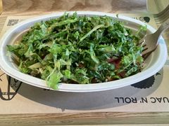 -油梨树AVOCADO TREE(望京店)