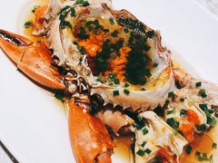 -望乡楼上海菜(日月光店)