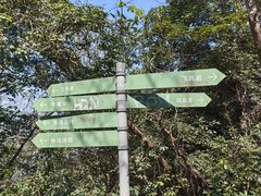 -午潮山国家森林公园