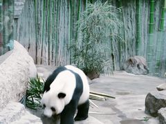 -北京动物园