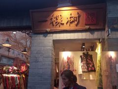 -一棵树(雨儿胡同)