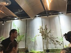 -吉庆莲年有鱼炭烤鱼(苏宁广场店)