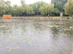 -长春世界雕塑园冰雪艺术天地