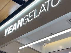 -野人先生现做冰淇淋(北京环宇荟店)