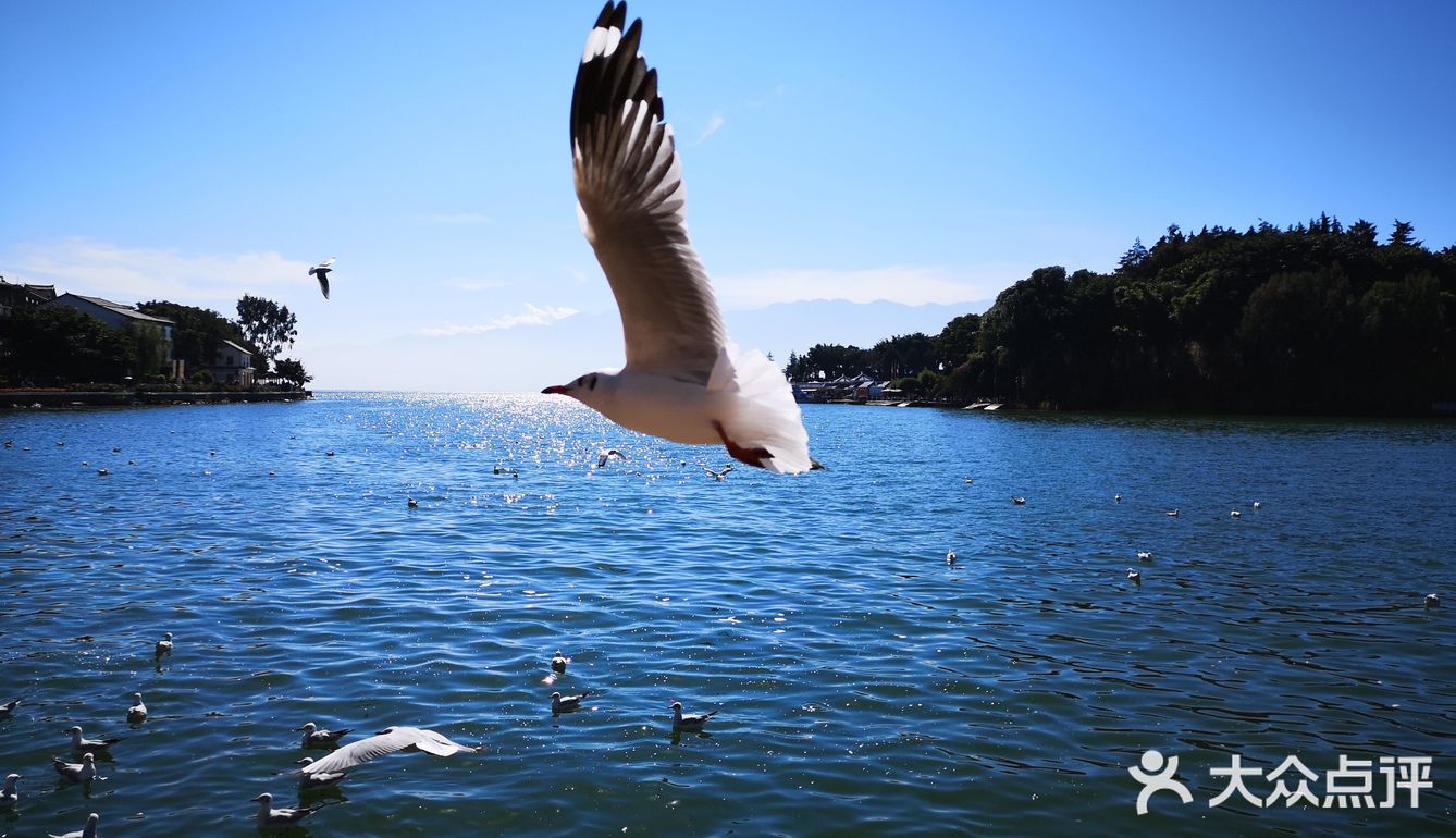 想和你在丽江的街头走一走