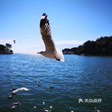 想和你在丽江的街头走一走