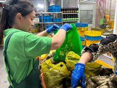 -召稼楼永茂昌粽子大王