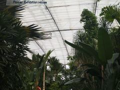 -北京植物园-展览温室