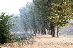 -紫海香堤香草艺术庄园