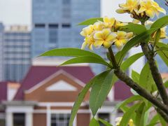 -海南清水湾莱佛士酒店