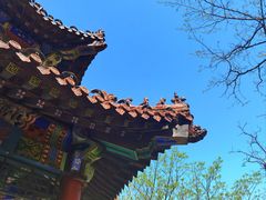 -大连植物园