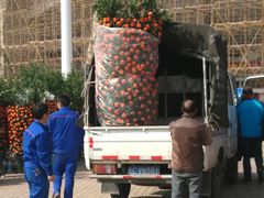 -珠海市体育中心-游泳馆