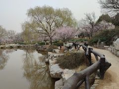 -北京西山国家森林公园