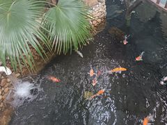 -北黄海温泉度假村