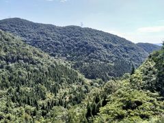 -金狮洞国家地质公园