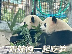-北京动物园