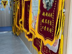 -恒幸动物医院·急重症转诊中心·神经内外科·CT核磁
