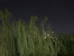 -凤城河风景区