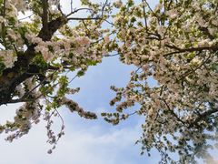 -元大都城垣遗址公园