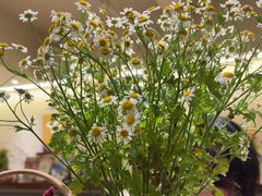 -COTTON CAFE(德信·中外公寓店)