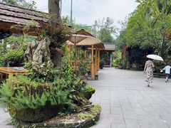 -青城甲(青城山店)