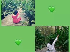 -合肥滨湖国家森林公园