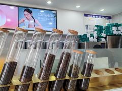 -雾与山茶(大禹城店)