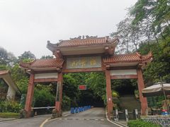 -缙云山景区