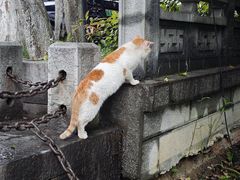 -包公祠