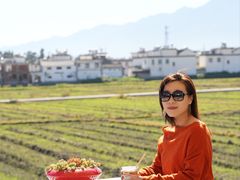 -喜林苑·稻田餐厅(品相府店)