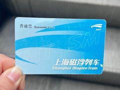 -龙阳路磁悬浮列车总站-停车场