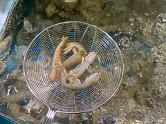 -四海蒸鲜蒸汽海鲜自助(北戴河店)