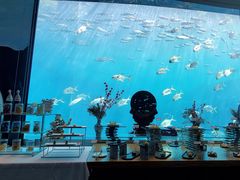 -瑞德姆美人鱼海底演艺主题餐厅(亚龙湾店)