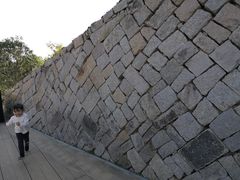 -飞凤山奥体公园