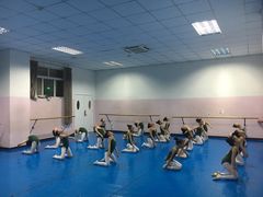 -陕西省小天鹅艺术团