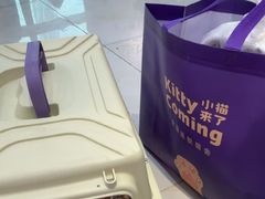 -小猫来了猫舍(福田店)