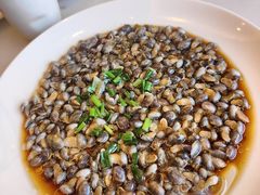 油泼泥螺-华盛丰温州大排档(东三环南路店)