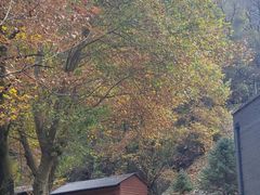 -秦岭终南山世界地质公园翠华山景区