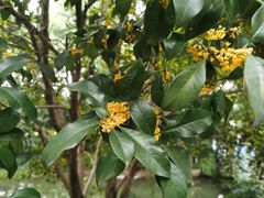 -杭州城北体育公园