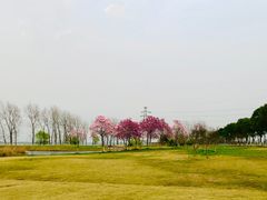 -漕湖湿地公园