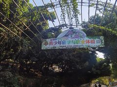 -青青世界
